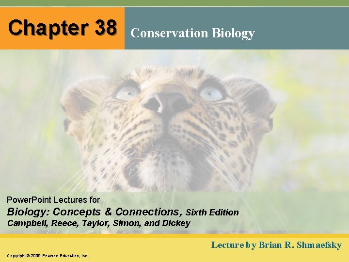 Chapter 38 Conservation Biology Power. Point Lectures for Biology: Concepts & Connections, Sixth Edition
