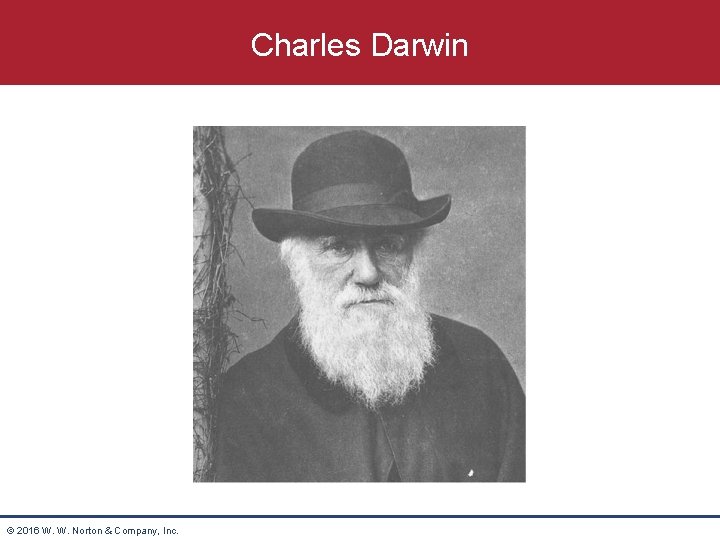 Charles Darwin © 2016 W. W. Norton & Company, Inc. 