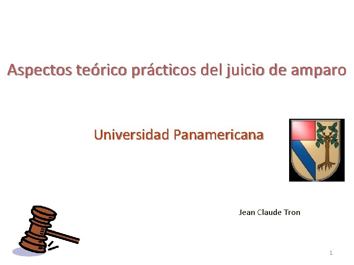 Aspectos teórico prácticos del juicio de amparo Universidad Panamericana Jean Claude Tron 1 