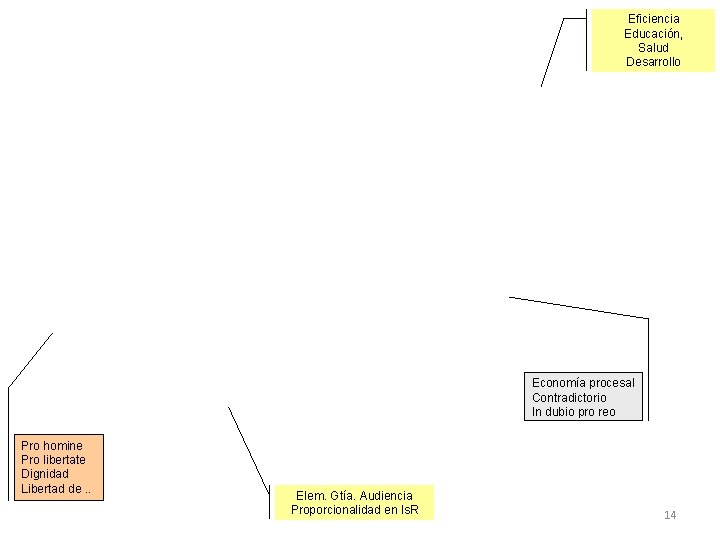 Eficiencia Educación, Salud Desarrollo Economía procesal Contradictorio In dubio pro reo Pro homine Pro