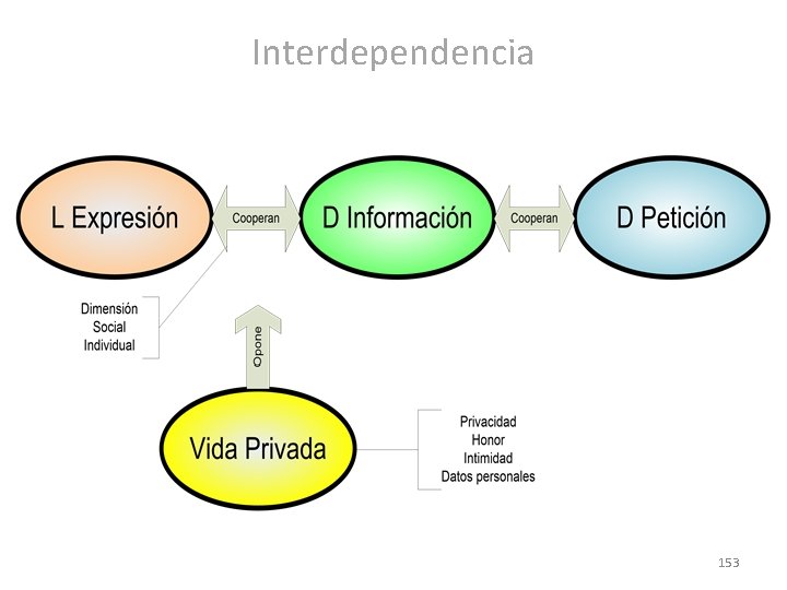 Interdependencia 153 