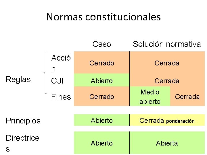 Normas constitucionales Reglas Acció n CJI Fines Principios Directrice s Caso Solución normativa Cerrado