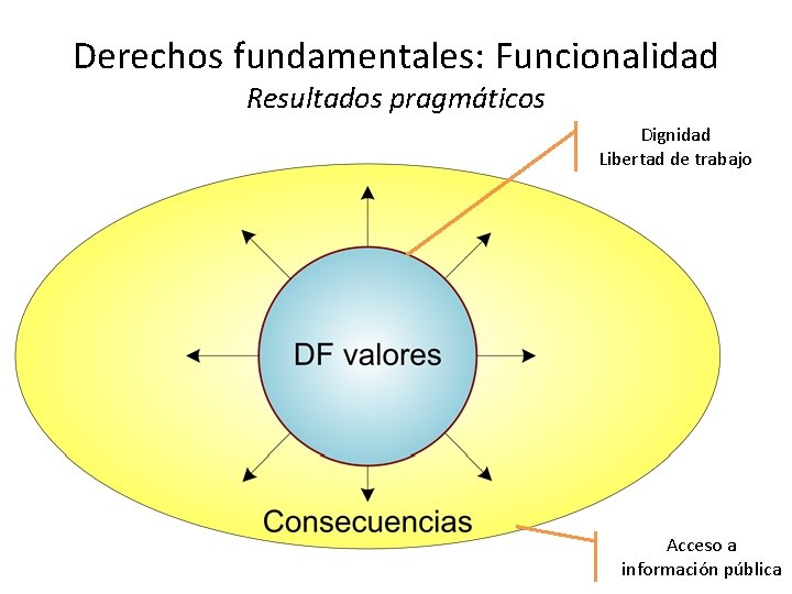 Derechos fundamentales: Funcionalidad Resultados pragmáticos Dignidad Libertad de trabajo Acceso a información pública 