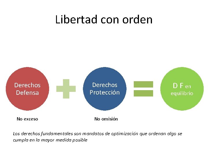 Libertad con orden Derechos Defensa Derechos Protección No exceso No omisión D F en