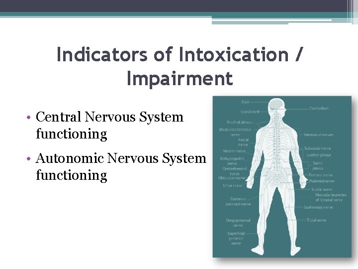 Indicators of Intoxication / Impairment • Central Nervous System functioning • Autonomic Nervous System