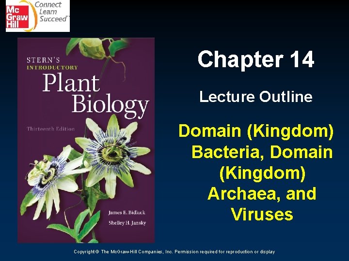 Chapter 14 Lecture Outline Domain (Kingdom) Bacteria, Domain (Kingdom) Archaea, and Viruses Copyright ©
