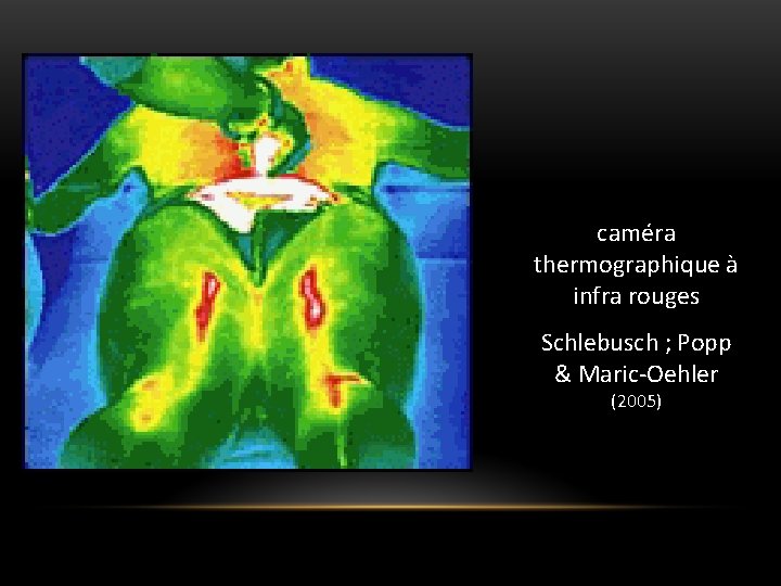 caméra thermographique à infra rouges Schlebusch ; Popp & Maric-Oehler (2005) caméra thermographique à infra rouges Schlebusch ; Popp & Maric-Oehler (2005)
