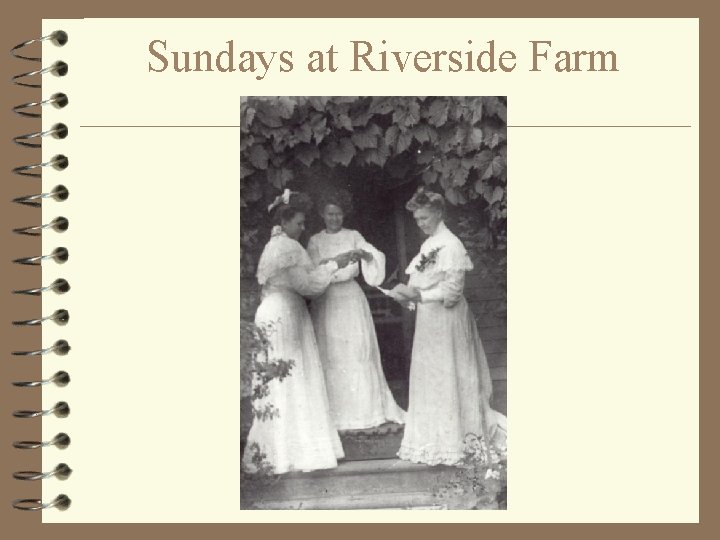 Sundays at Riverside Farm 