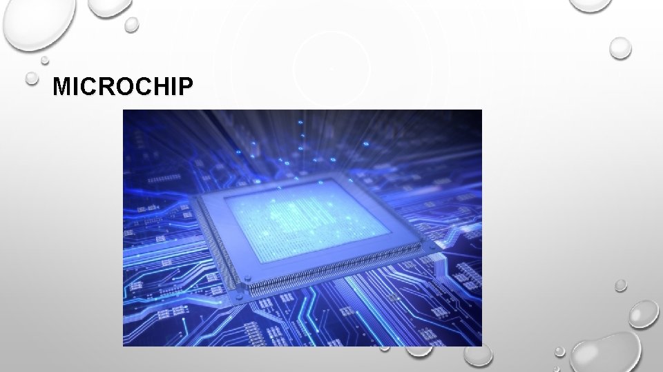 MICROCHIP 