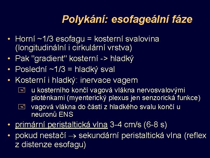 Polykání: esofageální fáze • Horní ~1/3 esofagu = kosterní svalovina (longitudinální i cirkulární vrstva)