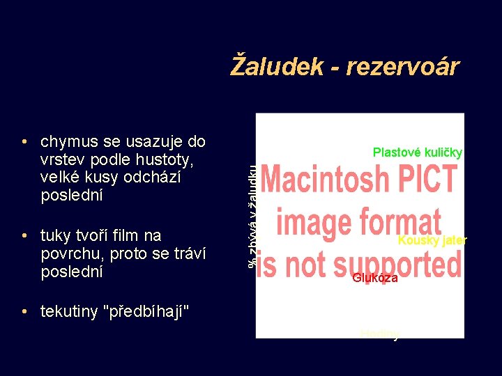 Žaludek - rezervoár • tuky tvoří film na povrchu, proto se tráví poslední Plastové