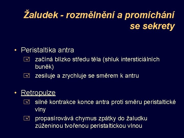 Žaludek - rozmělnění a promíchání se sekrety • Peristaltika antra + začíná blízko středu