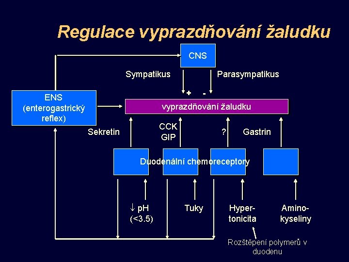 Regulace vyprazdňování žaludku CNS Sympatikus Parasympatikus + ENS (enterogastrický reflex) - vyprazdňování žaludku CCK