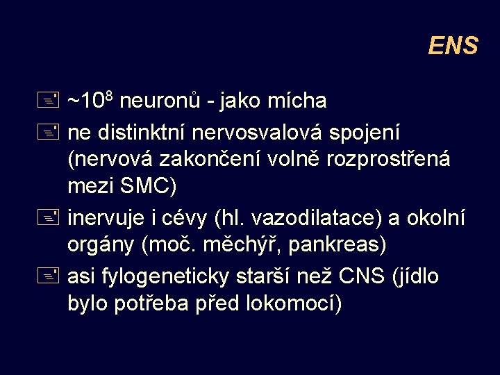 ENS + ~108 neuronů - jako mícha + ne distinktní nervosvalová spojení (nervová zakončení