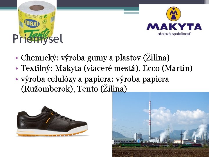 Priemysel • Chemický: výroba gumy a plastov (Žilina) • Textilný: Makyta (viaceré mestá), Ecco