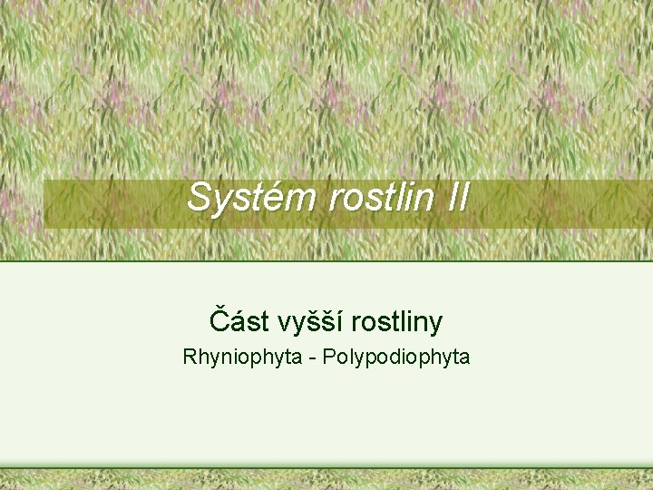 Systém rostlin II Část vyšší rostliny Rhyniophyta - Polypodiophyta 