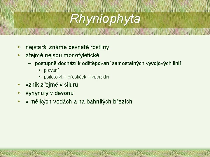 Rhyniophyta • nejstarší známé cévnaté rostliny • zřejmě nejsou monofyletické – postupně dochází k