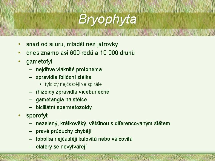 Bryophyta • snad od siluru, mladší než jatrovky • dnes známo asi 600 rodů