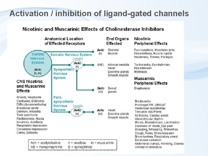 Activation / inhibition of ligand-gated channels 