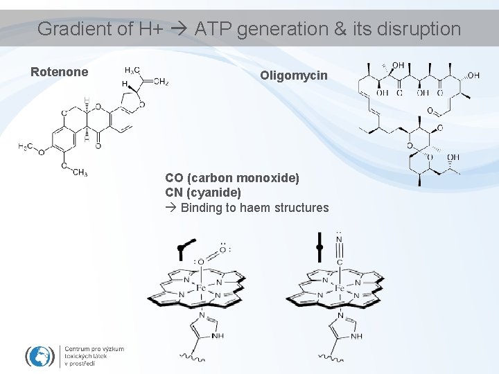 Gradient of H+ ATP generation & its disruption Rotenone Oligomycin CO (carbon monoxide) CN