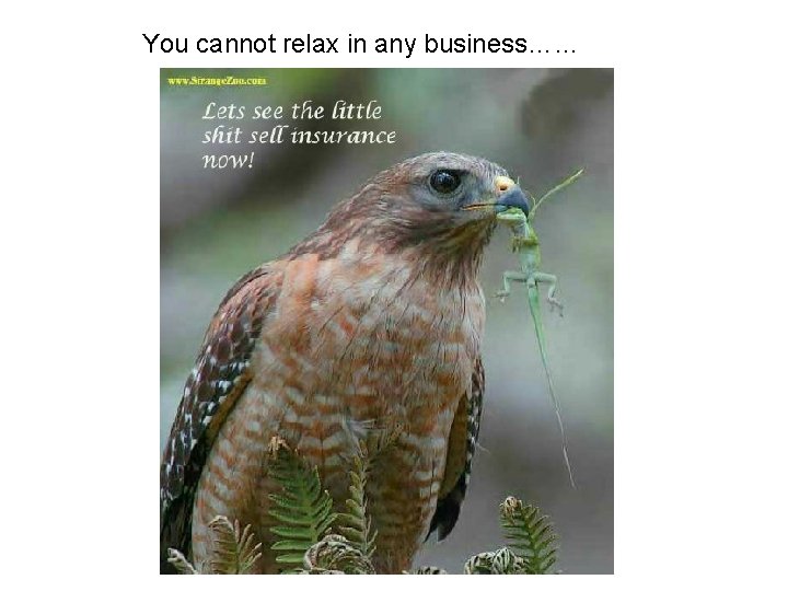 You cannot relax in any business…… 