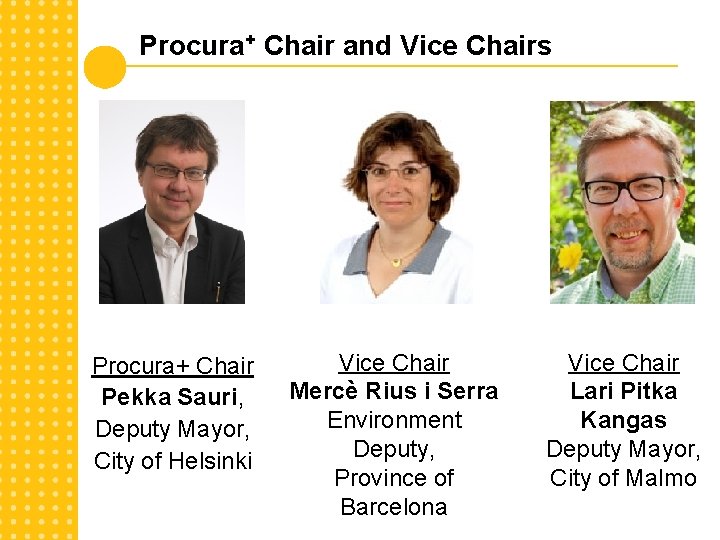 Procura+ Chair and Vice Chairs Procura+ Chair Pekka Sauri, Deputy Mayor, City of Helsinki