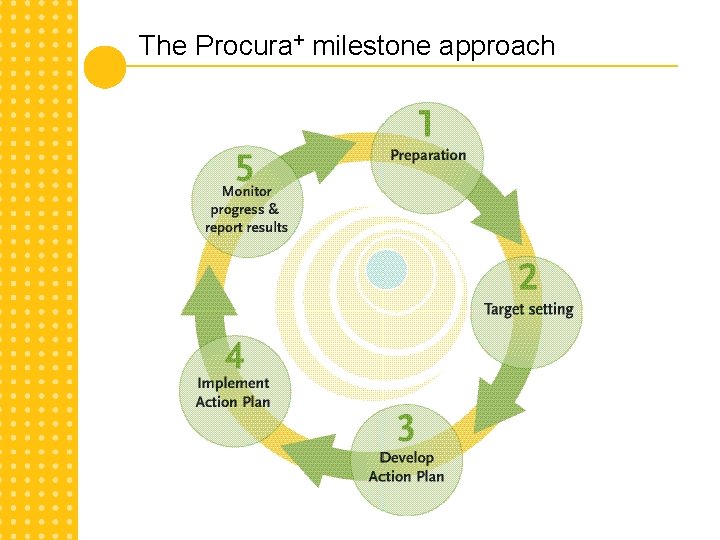 The Procura+ milestone approach 