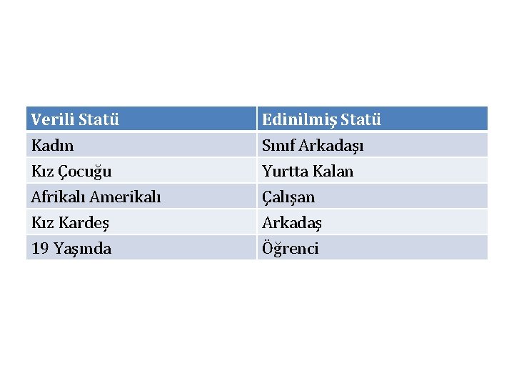 Verili Statü Kadın Kız Çocuğu Afrikalı Amerikalı Edinilmiş Statü Sınıf Arkadaşı Yurtta Kalan Çalışan