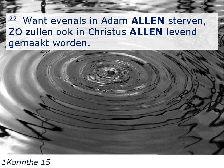 22 Want evenals in Adam ALLEN sterven, ZO zullen ook in Christus ALLEN levend