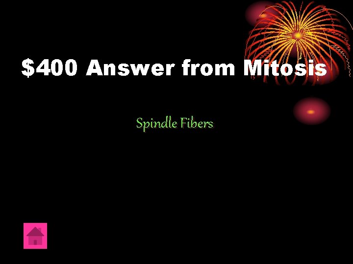 $400 Answer from Mitosis Spindle Fibers 
