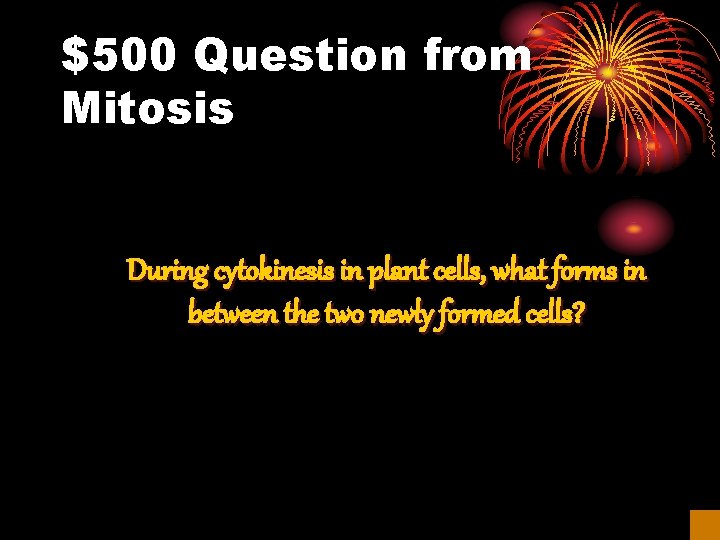 $500 Question from Mitosis During cytokinesis in plant cells, what forms in between the
