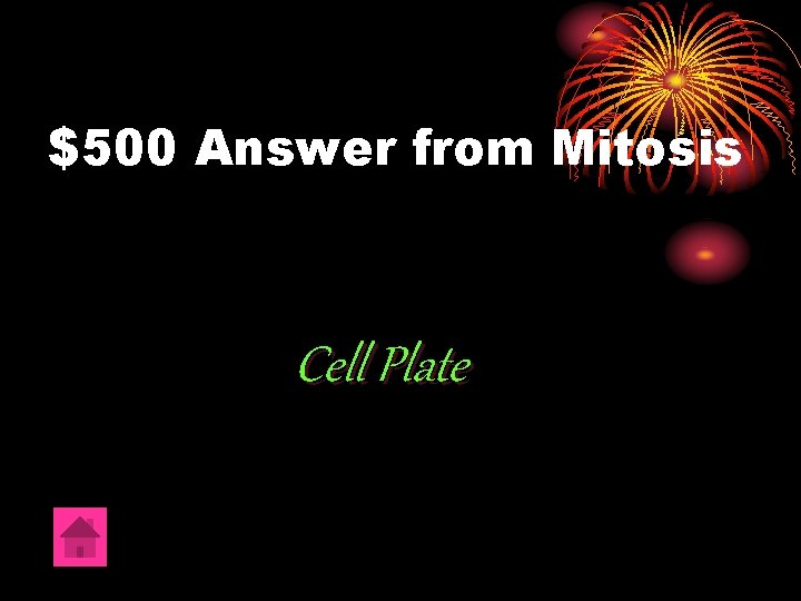 $500 Answer from Mitosis Cell Plate 