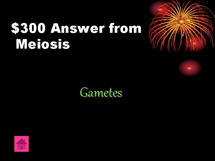 $300 Answer from Meiosis Gametes 