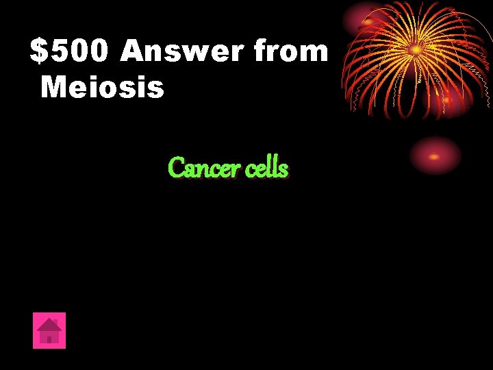 $500 Answer from Meiosis Cancer cells 