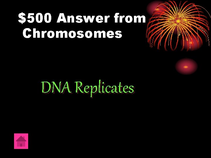 $500 Answer from Chromosomes DNA Replicates 