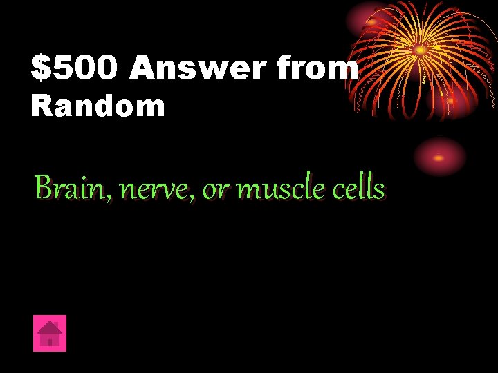 $500 Answer from Random Brain, nerve, or muscle cells 