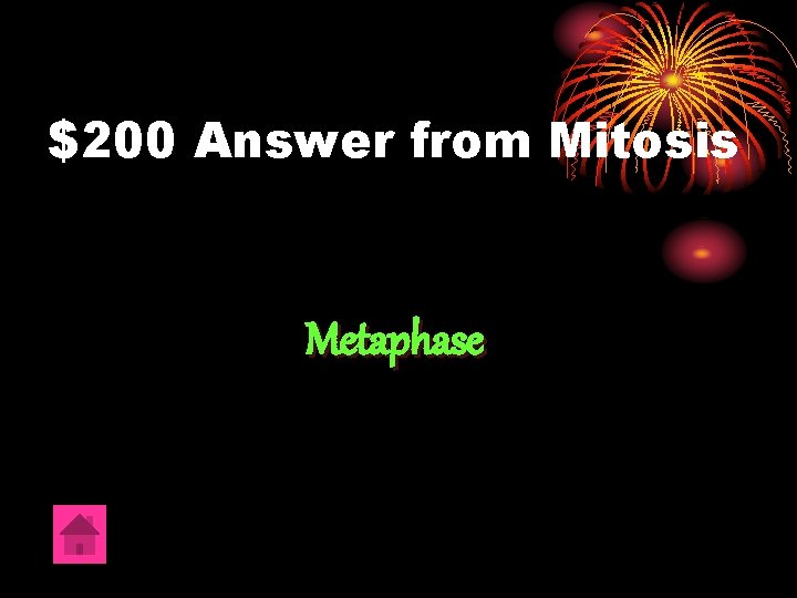 $200 Answer from Mitosis Metaphase 