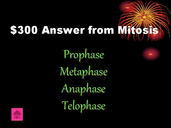 $300 Answer from Mitosis Prophase Metaphase Anaphase Telophase 