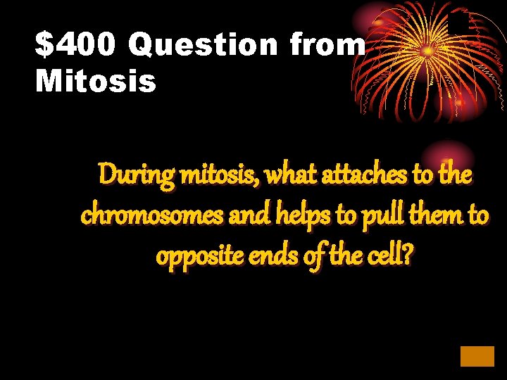 $400 Question from Mitosis During mitosis, what attaches to the chromosomes and helps to