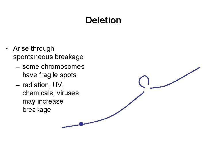 Deletion • Arise through spontaneous breakage – some chromosomes have fragile spots – radiation,