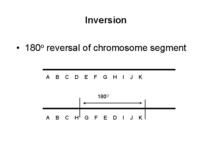 Inversion • 180 o reversal of chromosome segment A B C D E F