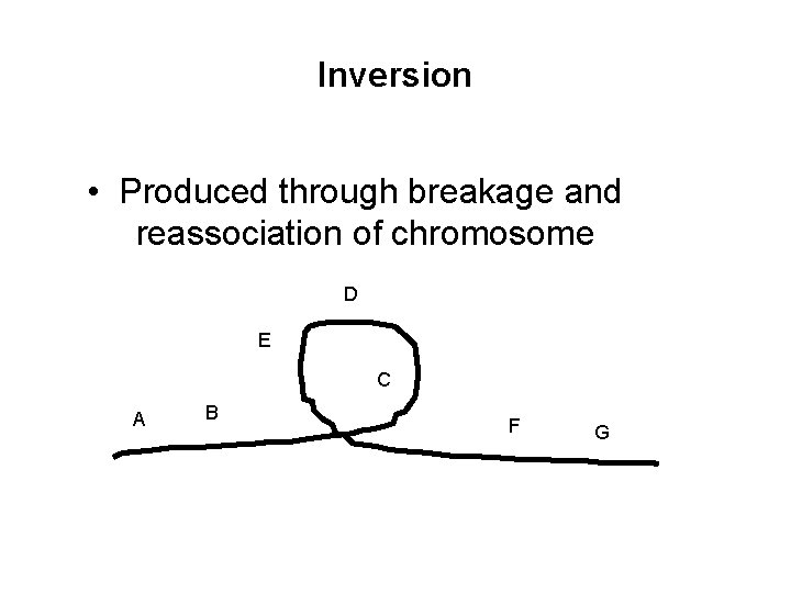 Inversion • Produced through breakage and reassociation of chromosome D E C A B