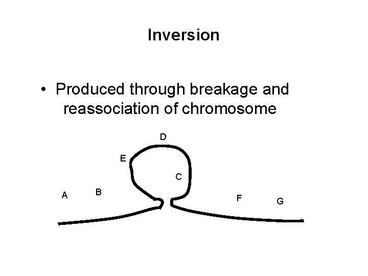 Inversion • Produced through breakage and reassociation of chromosome D E C A B