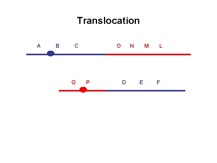 Translocation A B C Q O P N D M E L F 