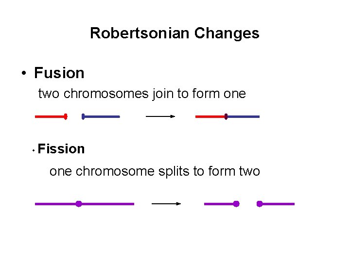 Robertsonian Changes • Fusion two chromosomes join to form one • Fission one chromosome