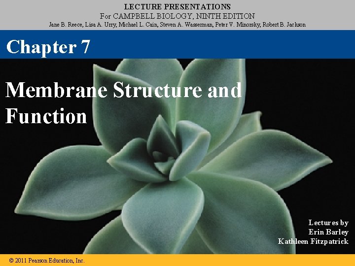 LECTURE PRESENTATIONS For CAMPBELL BIOLOGY, NINTH EDITION Jane B. Reece, Lisa A. Urry, Michael