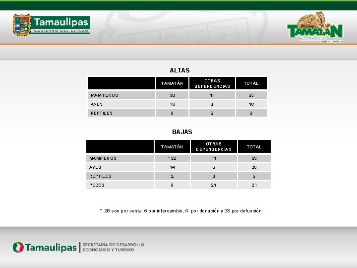 ALTAS TAMATÁN OTRAS DEPENDENCIAS TOTAL MAMIFEROS 38 17 55 AVES 16 0 16 REPTILES