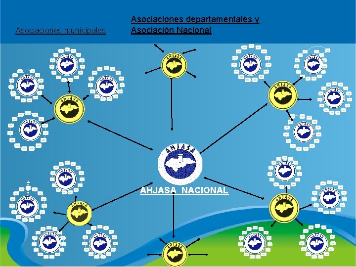  Asociaciones municipales M u ni ci p al Asociaciones departamentales y Asociación Nacional