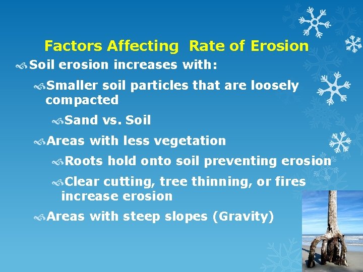 Factors Affecting Rate of Erosion Soil erosion increases with: Smaller soil particles that are