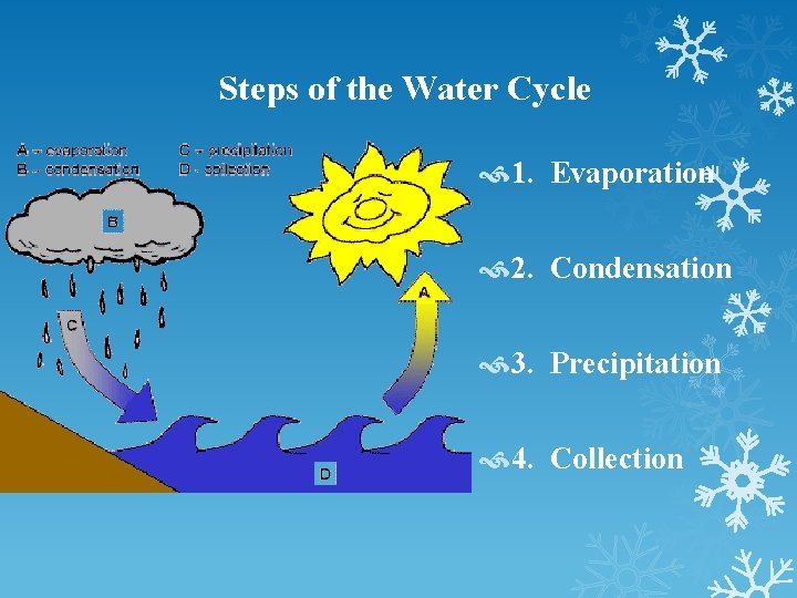 Steps of the Water Cycle 1. Evaporation 2. Condensation 3. Precipitation 4. Collection 